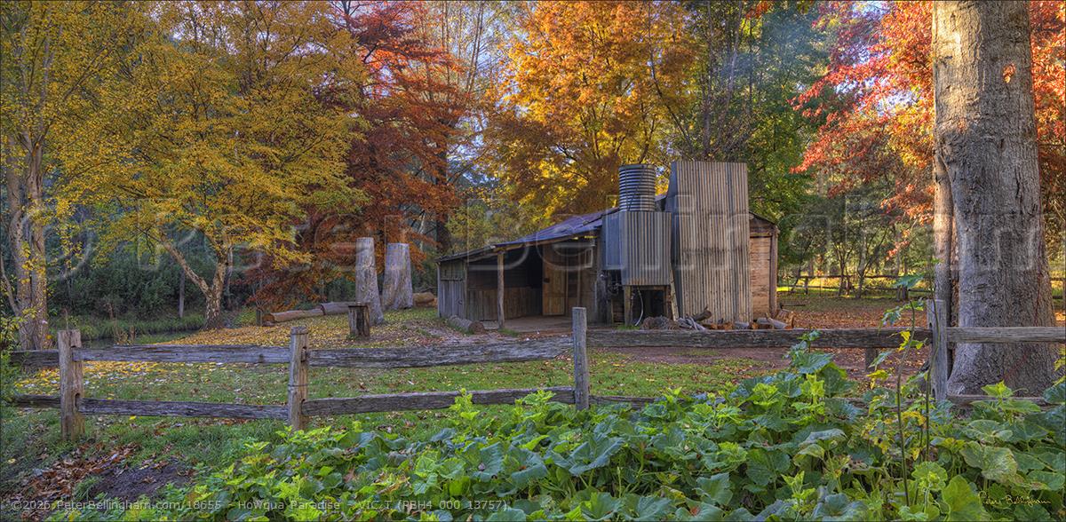 Peter Bellingham Photography Howqua Paradise - VIC T (PBH4 000 13757)